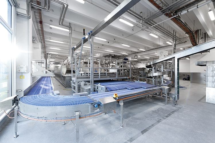 Production hall with a curved conveyor belt and stainless-steel plant below the services ceiling