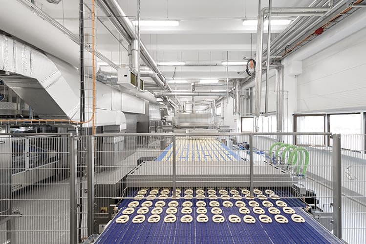Freshly shaped pretzels lined up on the conveyor belt of the production line