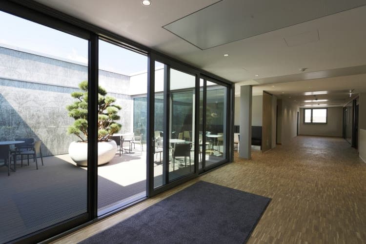 Corridor on the office floor with parquet flooring and glass sliding doors to the courtyard with a potted pine