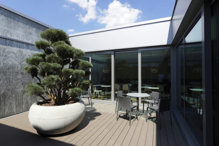 Courtyard with timber decking, a clipped pine in a round planter, seating and a patterned wall surface