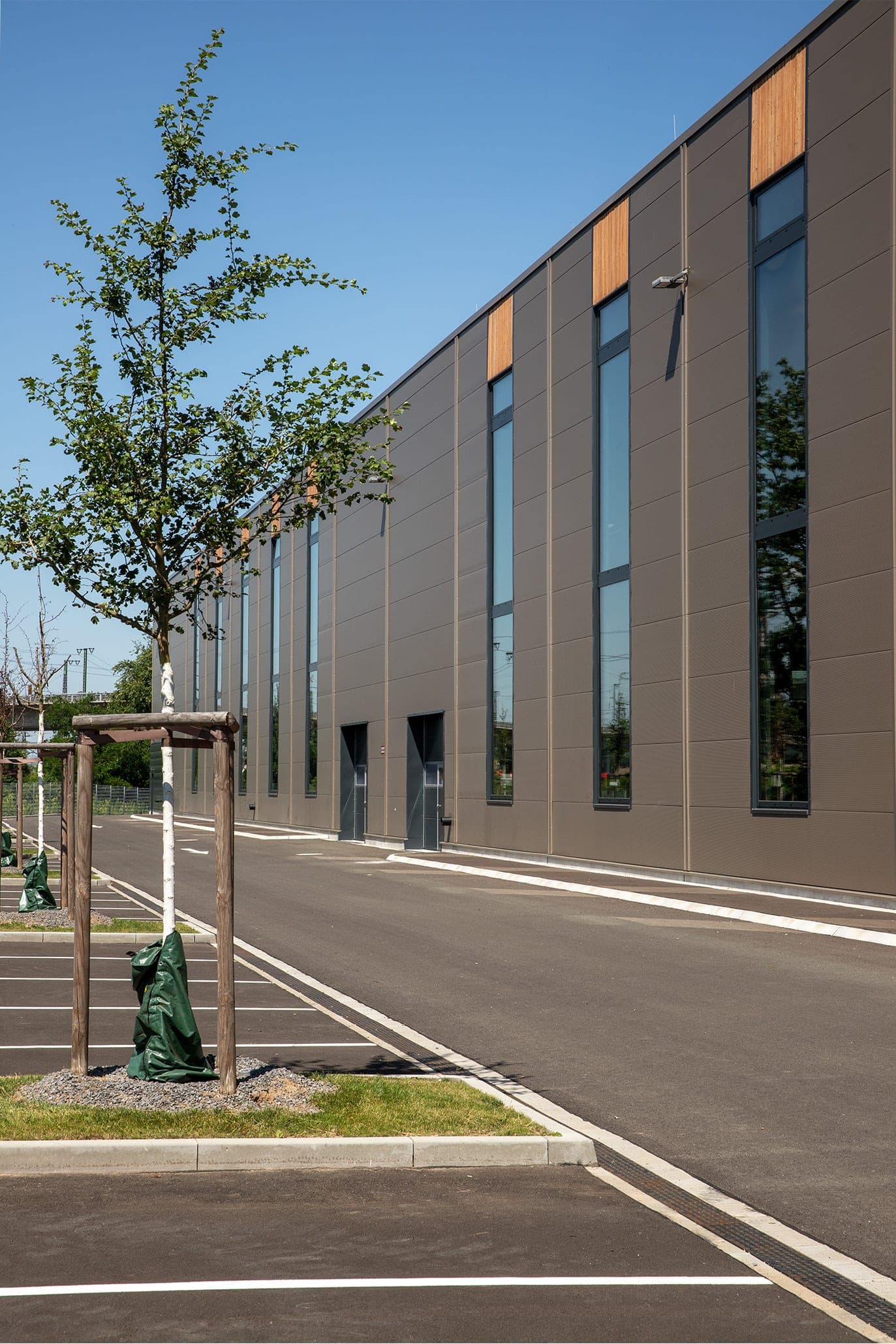 Hallenfassade mit raumhohen Fenstern und Holzfeldern, im Vordergrund ein junger Baum am Parkplatz