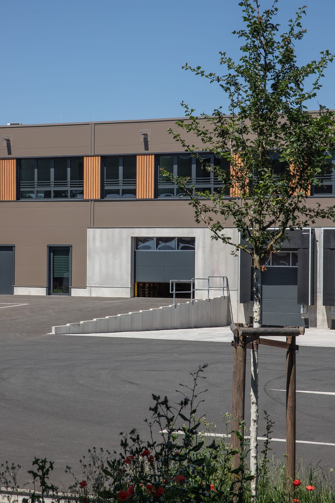Verladetor mit Rampe unter dem Bürotrakt mit Holzlisenen, im Vordergrund ein junger Baum und Mohnblüten