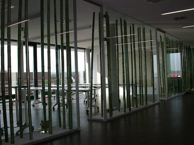 Corridor with glass partitions and bamboo canes as screening in front of the bank's meeting rooms